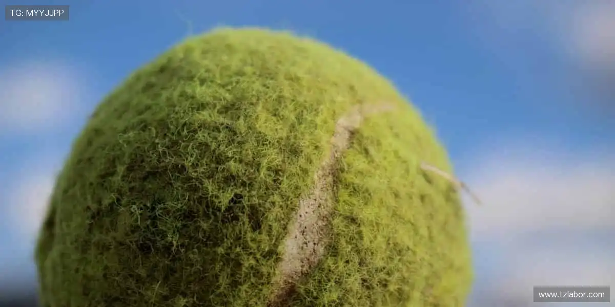 一键开启赛事盛宴！📺 超清画质，身临其境的热血对决！